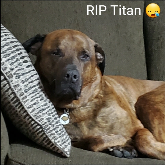 Meet your Posher, Frog 🐸 - Picture 8 of 12